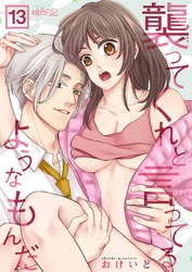 襲ってくれと言ってるようなもんだ 13