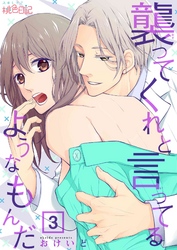 襲ってくれと言ってるようなもんだ 3