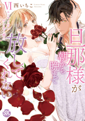 旦那様が朝から晩まで放してくれない～エッチで甘いワケあり婚！？【コミックス版】【電子版限定特典付き】 6巻