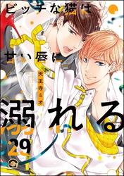 ビッチな猫は好奇心に勝てない（分冊版）　【第29話】