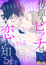 彷徨うビッチは恋を知る　合冊版2