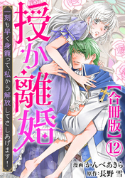 授か離婚～一刻も早く身籠って、私から解放してさしあげます！【合冊版】12