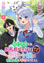 婚約破棄したお馬鹿な王子はほっといて、悪役令嬢は精霊の森で幸せになります。【分冊版】4