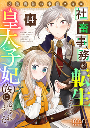 万能魔法の事務スキル～社畜事務が転生したら皇太子妃（仮）に選ばれました。(14)