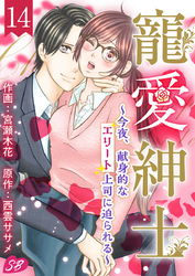 寵愛紳士～今夜、献身的なエリート上司に迫られる～ 14巻