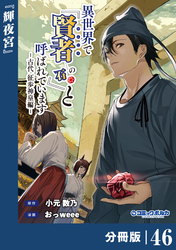 異世界で『賢者……の石』と呼ばれています【分冊版】（ポルカコミックス）４６