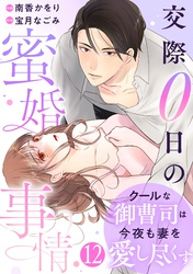 comic Berry’sクールな御曹司は今夜も妻を愛し尽くす～交際0日の蜜婚事情～12巻