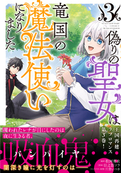 偽りの聖女は竜国の魔法使いになりました（コミック）３