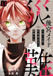 後宮メイドの災難～人使いの荒い宮廷書記官と推理する～(13)