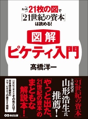 【図解】ピケティ入門 たった21枚の図で『21世紀の資本』は読める！