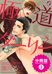 極道ダーリン【分冊版】3