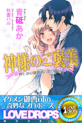 神様のご褒美　押しかけ御曹司と恋の遺伝子