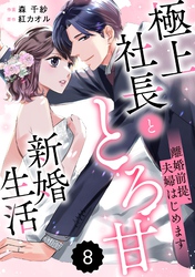 comic Berry’s離婚前提、夫婦はじめます～極上社長ととろ甘新婚生活～8巻