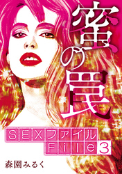 SEXファイル・蜜の罠 File３調教