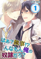はぁ？執事！？んなもん俺の奴隷だろ？