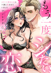 もう一度シたい、恋~エリート幼なじみに一途に愛されていました~(2)