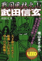 戦国風林火山武田信玄　侵掠之章