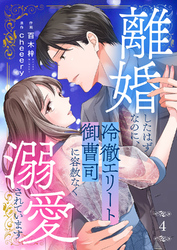 離婚したはずなのに、冷徹エリート御曹司に容赦なく溺愛されています４