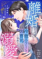 離婚したはずなのに、冷徹エリート御曹司に容赦なく溺愛されています２２