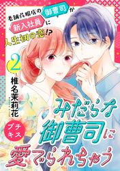 【期間限定　無料お試し版】みだらな御曹司に愛でられちゃう　プチキス（２）