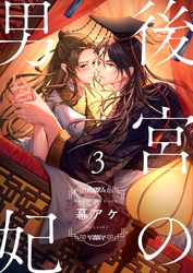 後宮の男妃３
