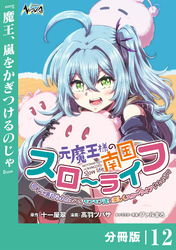 元魔王様の南国スローライフ～部下に裏切られたので、モフモフ達と楽しくスローライフするのじゃ～【分冊版】（ノヴァコミックス）１２