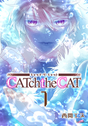 CATchtheCAT