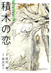 積木の恋【単行本 分冊版】３