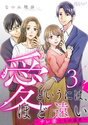 愛というには、ほど遠い～サレ妻たちの選択～ 3