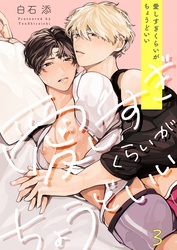 愛しすぎくらいがちょうどいい３
