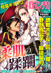 禁断LoversロマンチカVol.007柔肌の蹂躙