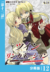 ツインリンカネーション【分冊版】１２