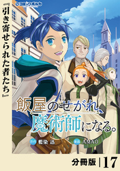 飯屋のせがれ、魔術師になる。【分冊版】１７