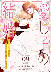 愛し子の結婚～偽装契約なのにエリート騎士様が甘すぎる～９