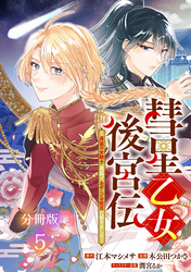 彗星乙女後宮伝～男装の女騎士、異国であやしいお役目に就きました～　分冊版（５）