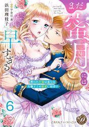 まだ蜜月には早すぎる～攫われ花嫁は強引な金獅子王の寵愛に困惑中～【分冊版】6