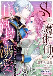 S級魔術師の甘くて執拗な溺愛　初恋の彼に浄化と称してエロいことしかされません！？３