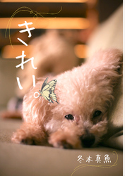 きれい。